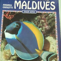モルディブ　オーストラリア　ニュージーランド　魚　海の生物　図鑑の画像