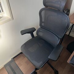 エルゴヒューマン プロ Black Edition（ブラックエデ...