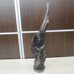 流木 置物 高さ55㎝ オブジェ インテリア 天然木 詳細不明 観賞 木のオブジェ 苫小牧西店の画像