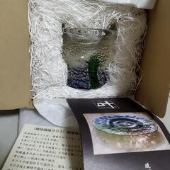 新品未使用　半額　琉球ガラス　ロックグラスの画像
