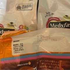 新品　子猫用餌の画像