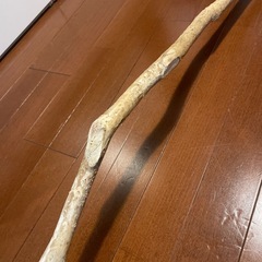 木　オブジェの画像