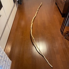 木　オブジェ