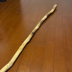 木　オブジェの画像