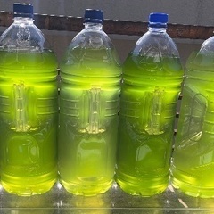🐸1220)メダカ針子用クロレラユーグレラグリーンウォーター¥2...