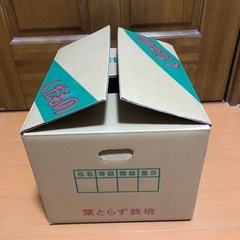 りんご箱の画像