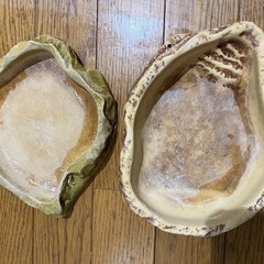 GEX エキゾテラ 爬虫類 餌皿