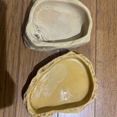GEX 餌皿 エキゾテラ 爬虫類