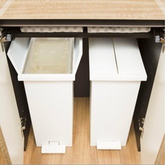 極美品 KEYUCA 両開きダストボックス L 2個セット ゴミ...