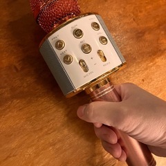 カラオケマイクあげます