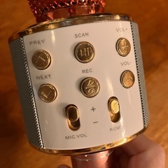 カラオケマイクあげますの画像