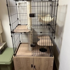 隠れ家キャットランドゲージワイド