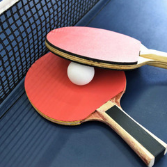 🏓外人と卓球をしましょう！🏓