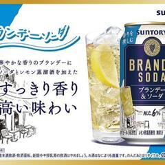お話中 値下げ★お酒まとめ サントリー ブランデー缶 
350ml × 16本セット 3120円分の画像