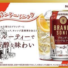 お話中 値下げ★お酒まとめ サントリー ブランデー缶 
350ml × 16本セット 3120円分の画像