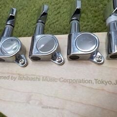SELVA エレキギター ストラトタイプ 黒 ソフトケース付き イシバシ楽器 セルバ 西岡店の画像