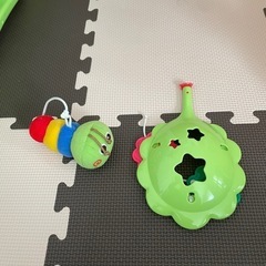 メリーの画像