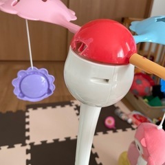 メリーの画像