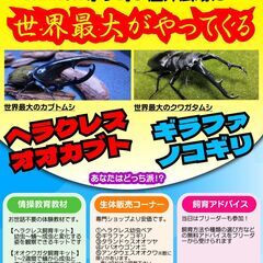 ブランチ茅ヶ崎3にてカブトムシ・クワガタの催事を行います。(雨天決行)