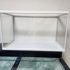 テトラ水槽＆水槽単品　60cmレギュラー水槽