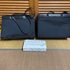バッグ　二つの画像