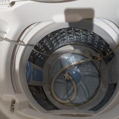 2022年製　東芝　洗濯機　価格交渉可の画像
