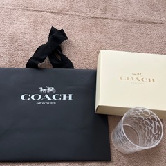 COACH ペアグラス