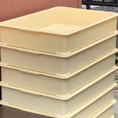 番重6個セット
