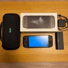 AYANEO 2021 Pro ダークスター 専用バッグ＆クレードル付