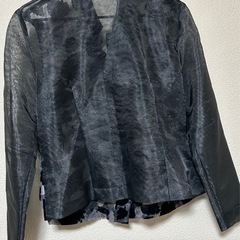 美品‼️CESSORIEオーガンジーブラウスの画像