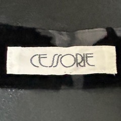 美品‼️CESSORIEオーガンジーブラウスの画像