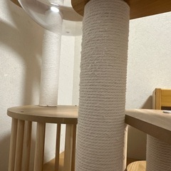 キャットタワー　の画像