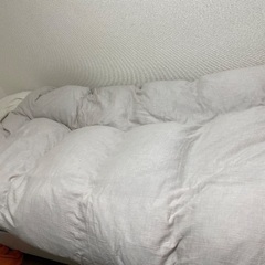 ベット一式セット