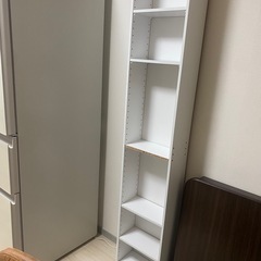 本棚