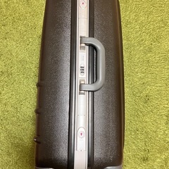 ヴァレンチノ サバティーニ スーツケースの画像