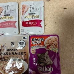(受け渡し者決定済み！)キャットフード・パウチ合計5点譲ります！の画像