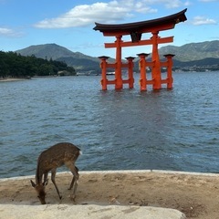 師走で忙しくしていませんか？ちょっと一息タイム☕️