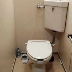 トイレの詰まり直せる方いませんか？