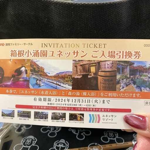 小涌園ユネッサンチケット