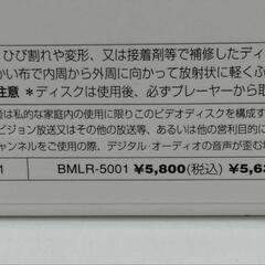 B'z LIVE-GYM Pleasure95“BUZZ”  レーザーディスクの画像