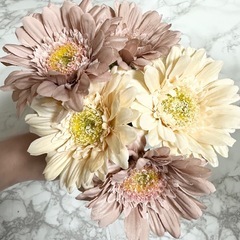 🤍ぉ花𝟻本セット　インテリアの画像