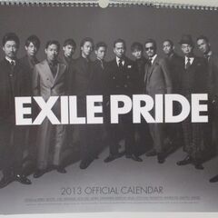 EXILE　2010年ライブツアー　グッズいろいろ 他（取りに来てくださる方限定）の画像