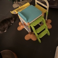 ポケモン滑り台の画像