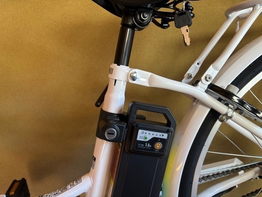 元値のほぼ半額　新品　未使用　 電動アシスタント自転車