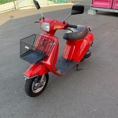 スズキ ジェンマクエスト50の画像