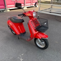 スズキ ジェンマクエスト50の画像