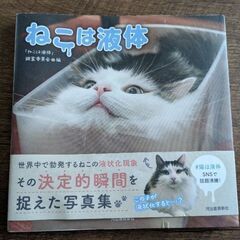 猫は液体　本　猫写真集
