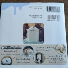 猫は液体　本　猫写真集の画像