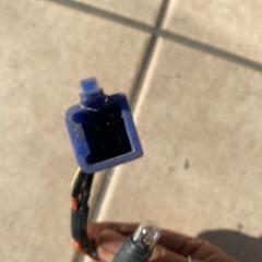 レッツ2　CA1PA　メーターハーネス　純正　 作動確認済の画像