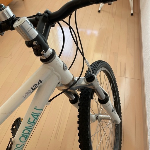 ルイガノ（LOUIS GARNEAU） J24 24インチ 子供用自転車 : バイシクル ルイガノ　J24 　Jr.用24インチ 自転車